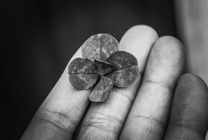 tứ sắc F8bet